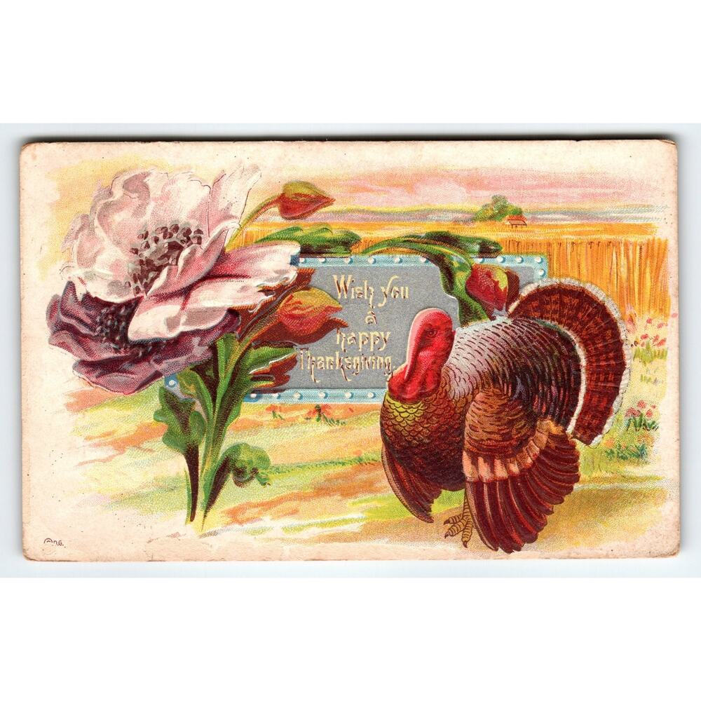 Vintage 1911 Thanksgiving Postcard Turkey & Flower Lithograph